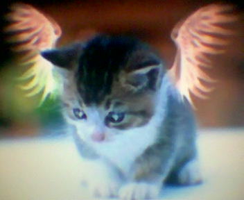 monchats  et giulio